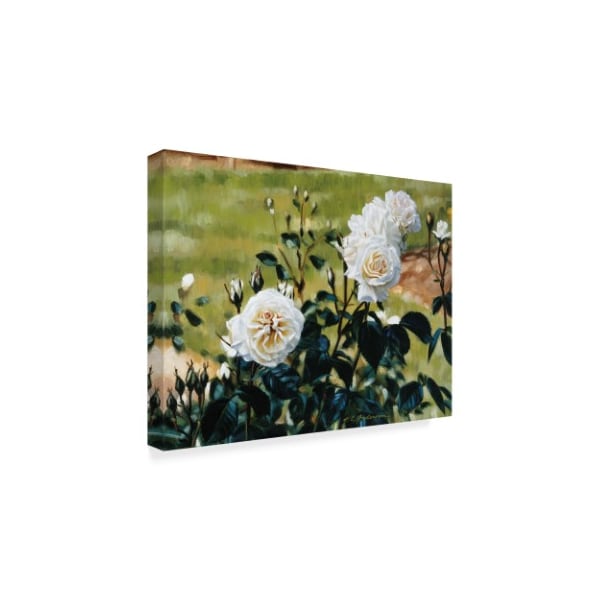 Robin Anderson 'White Roses' Canvas Art,14x19